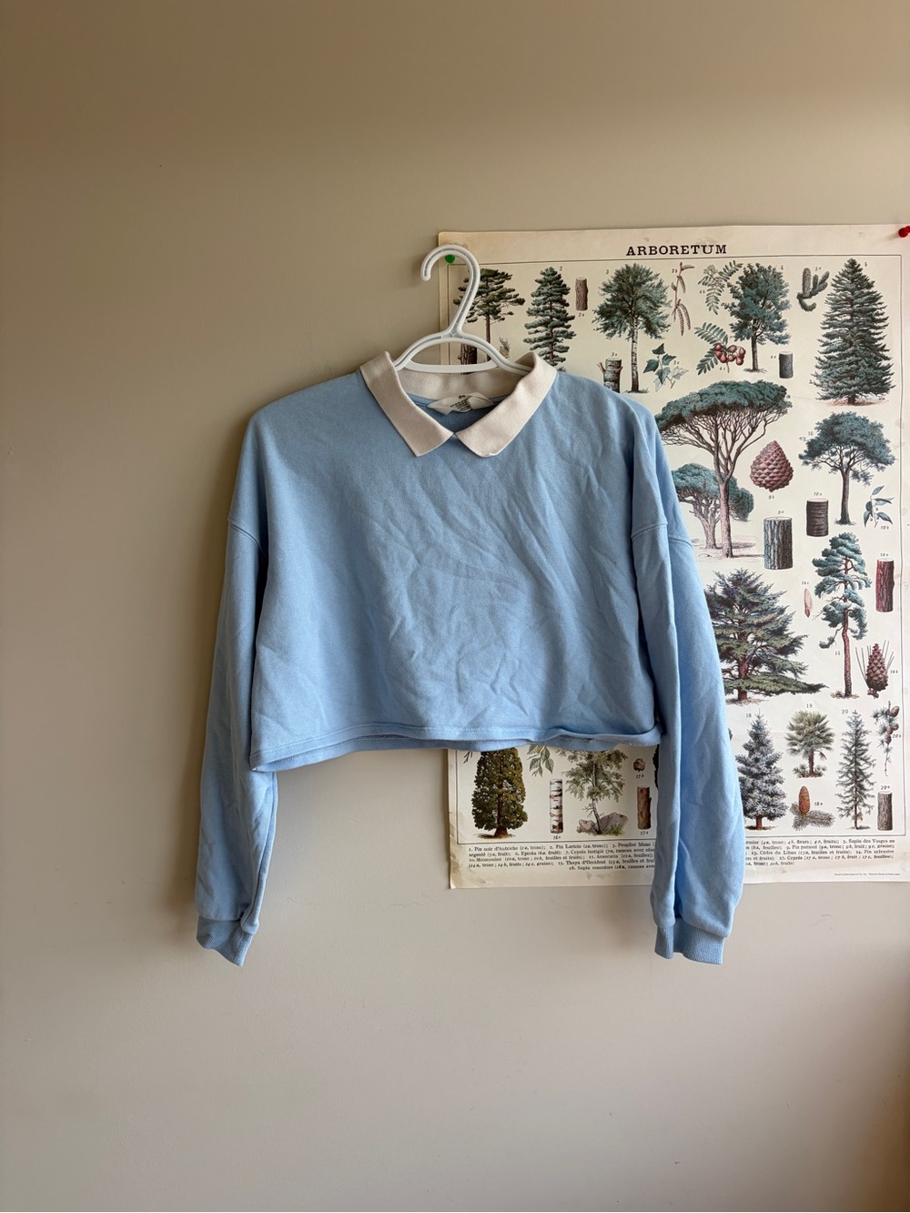 H&M collared longsleeve kids size 12-14
